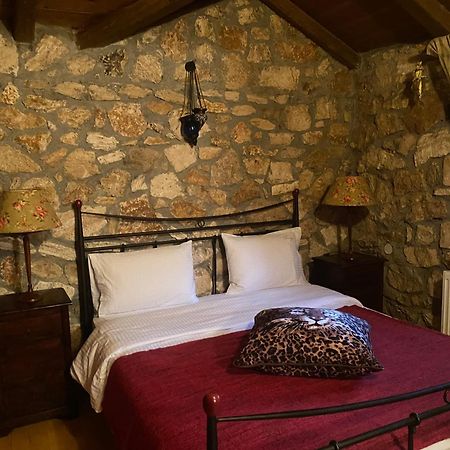 Archontiko Fiamegou Hotel&Spa Mészi Szinikía Trikálon Kültér fotó